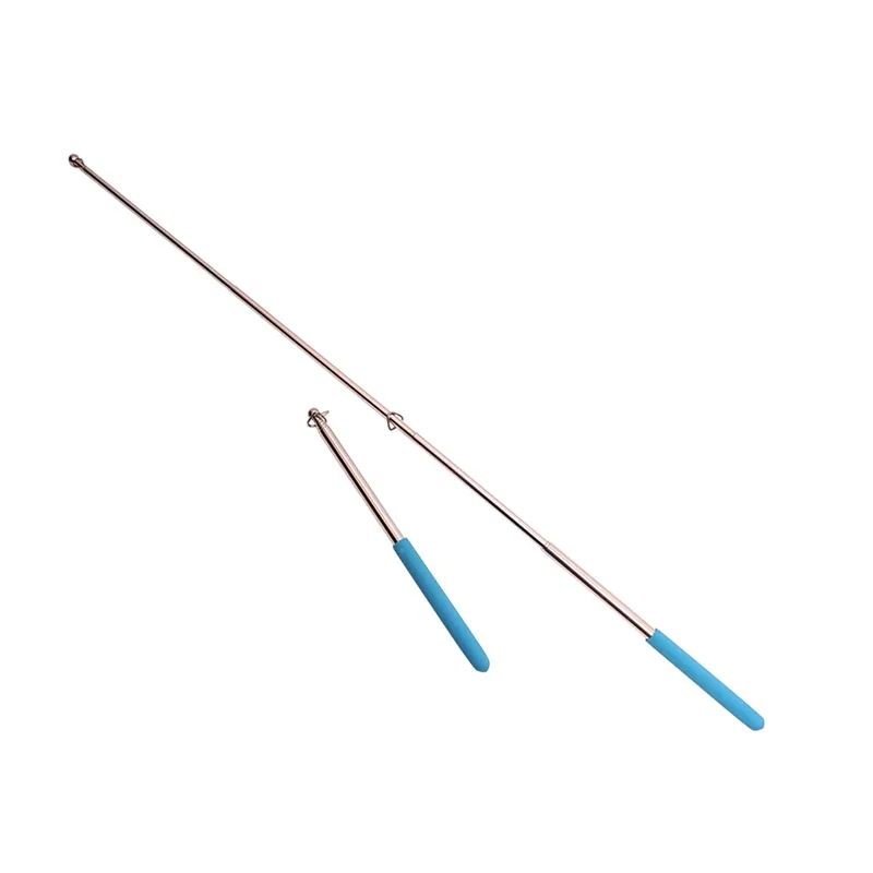 Ali di danza del ventre Stick  - Women Bags Egypt recensione e prezzo