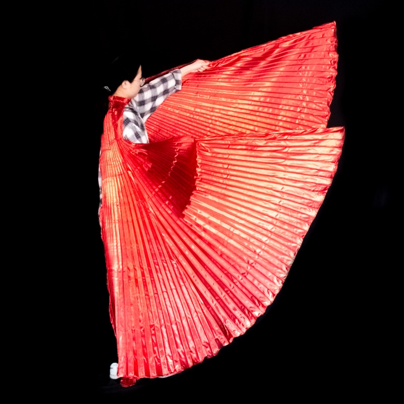 Danza del ventre Ali di Isis A - Women Bags Egypt recensione e prezzo