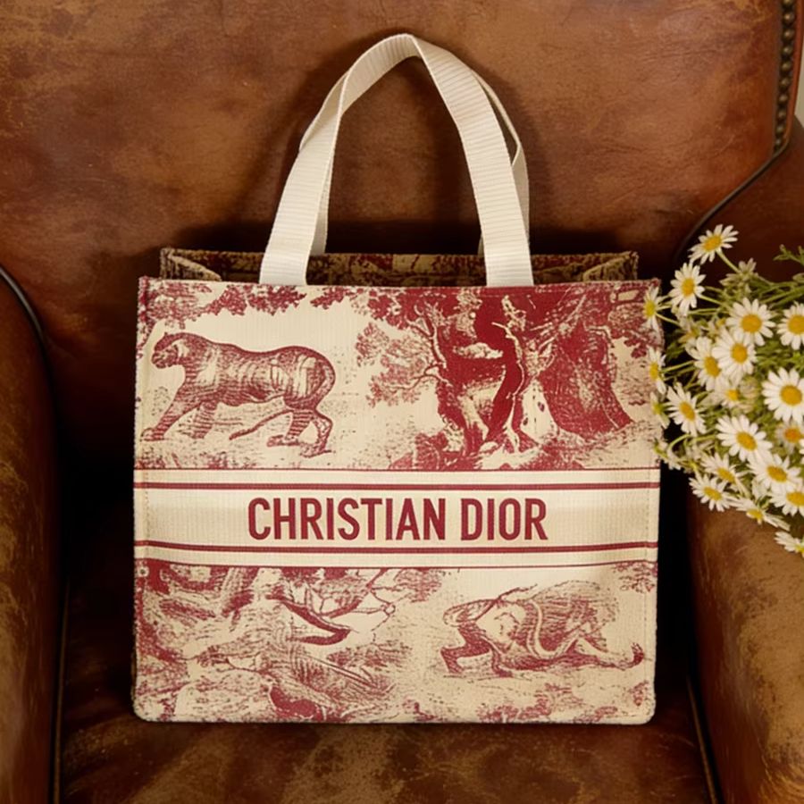 Borsa Christian Dior, borsa to - Women Bags Tote Dior recensione e prezzo