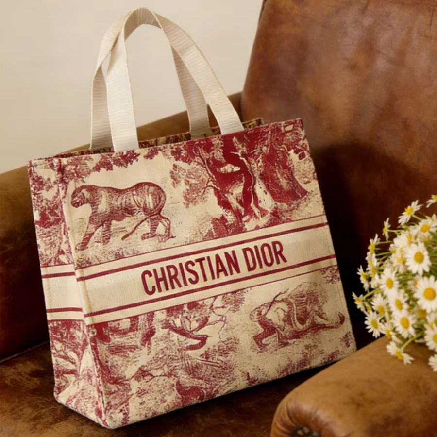 Borsa Christian Dior, borsa to - Women Bags Tote Dior recensione e prezzo