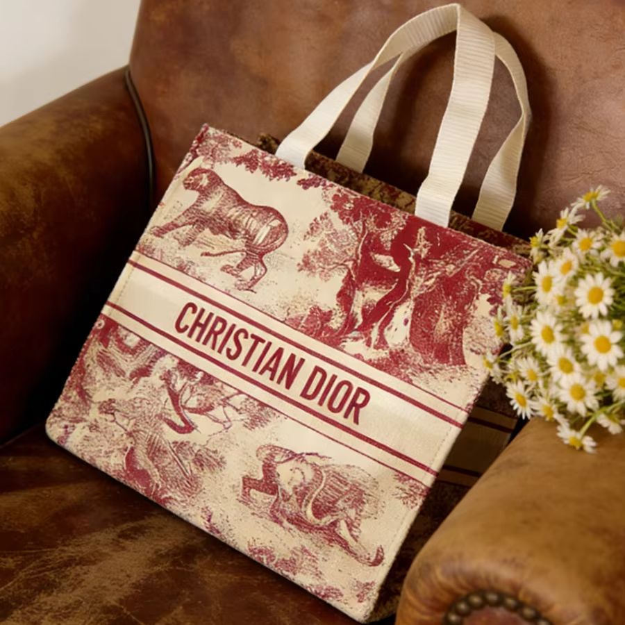Borsa Christian Dior, borsa to - Women Bags Tote Dior recensione e prezzo